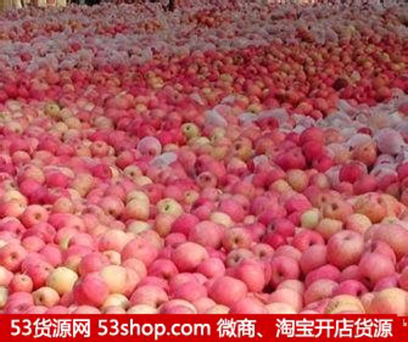 批发零售行业：抓住数字化转型的风向标